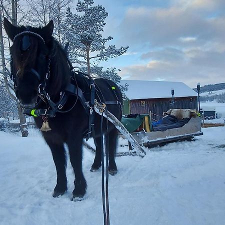 Fantgrenda Overnatting Os (Hedmark) Exterior foto