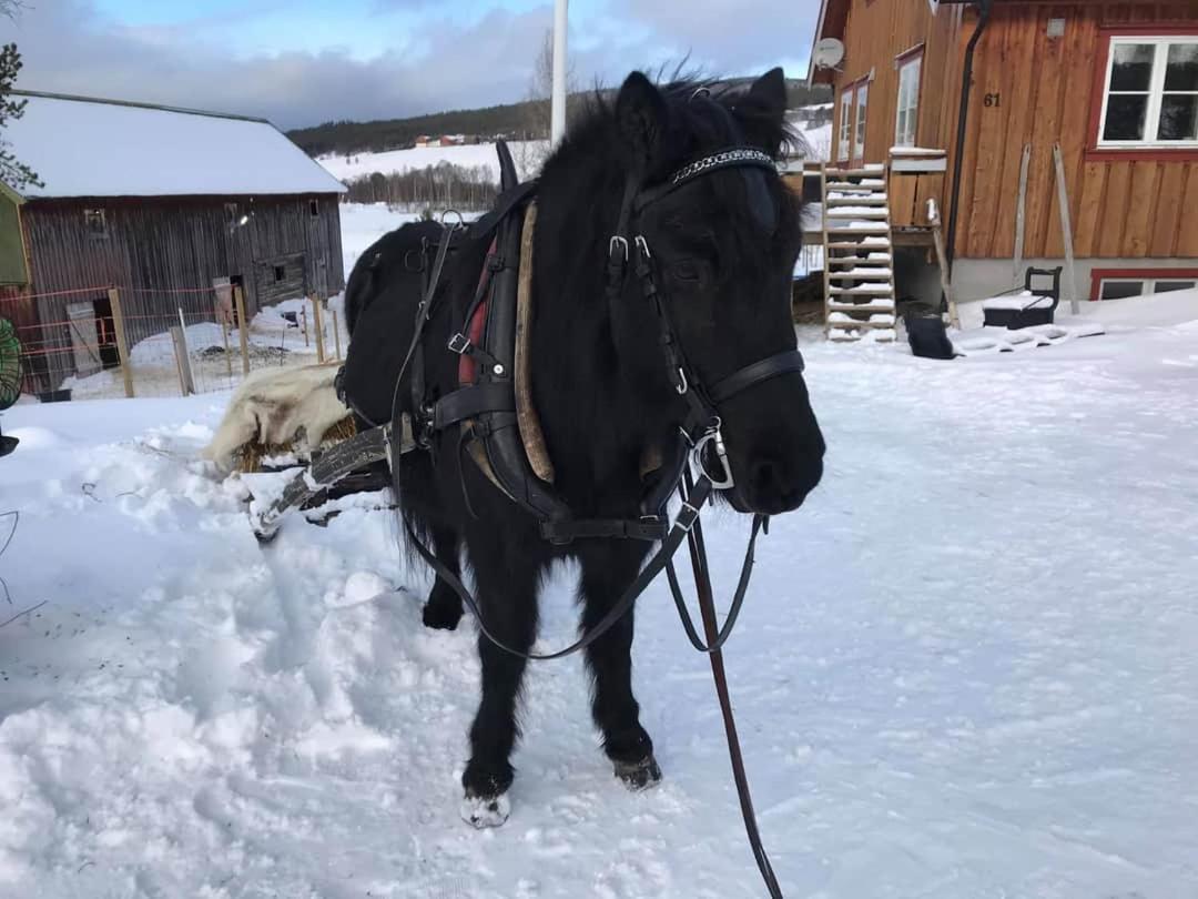 Fantgrenda Overnatting Os (Hedmark) Exterior foto