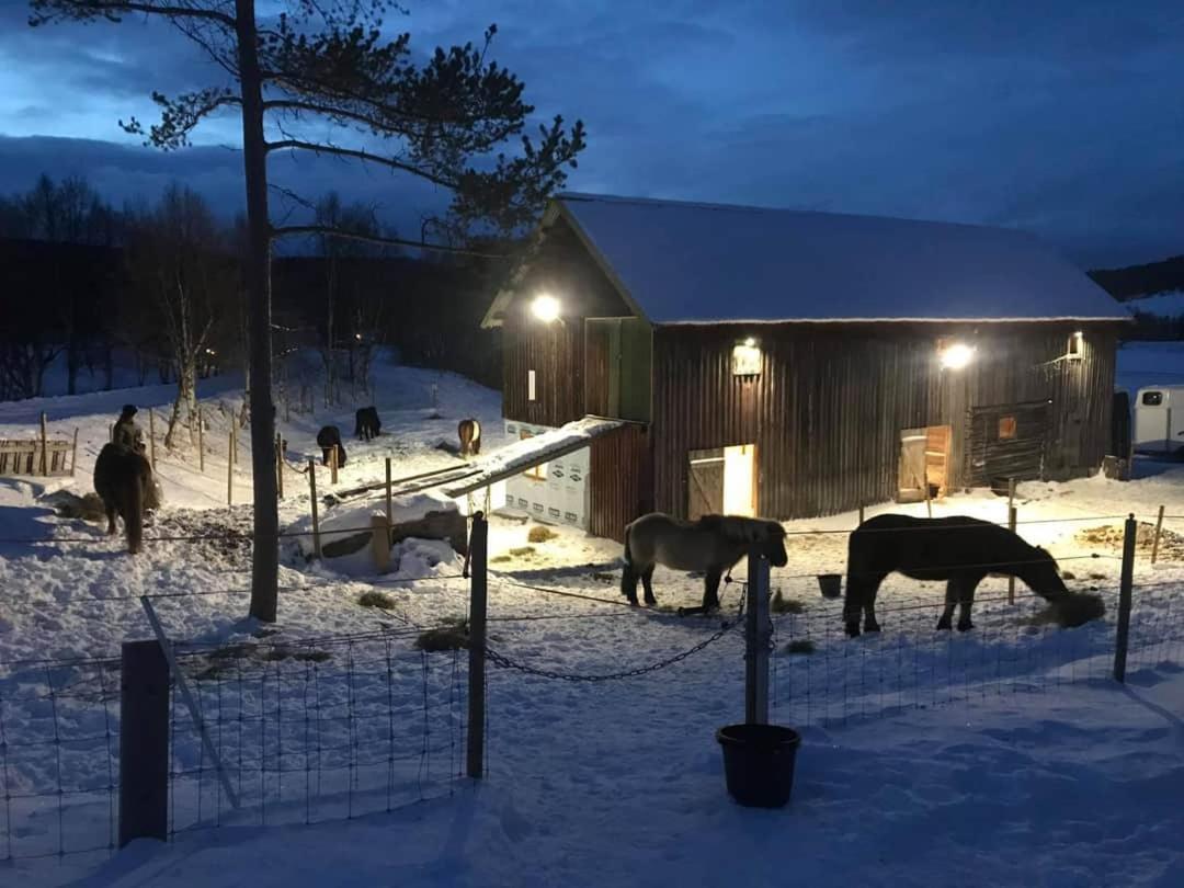Fantgrenda Overnatting Os (Hedmark) Exterior foto