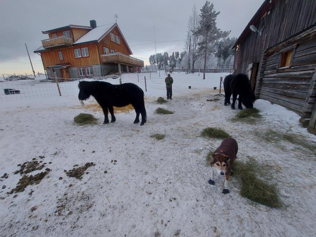 Fantgrenda Overnatting Os (Hedmark) Exterior foto