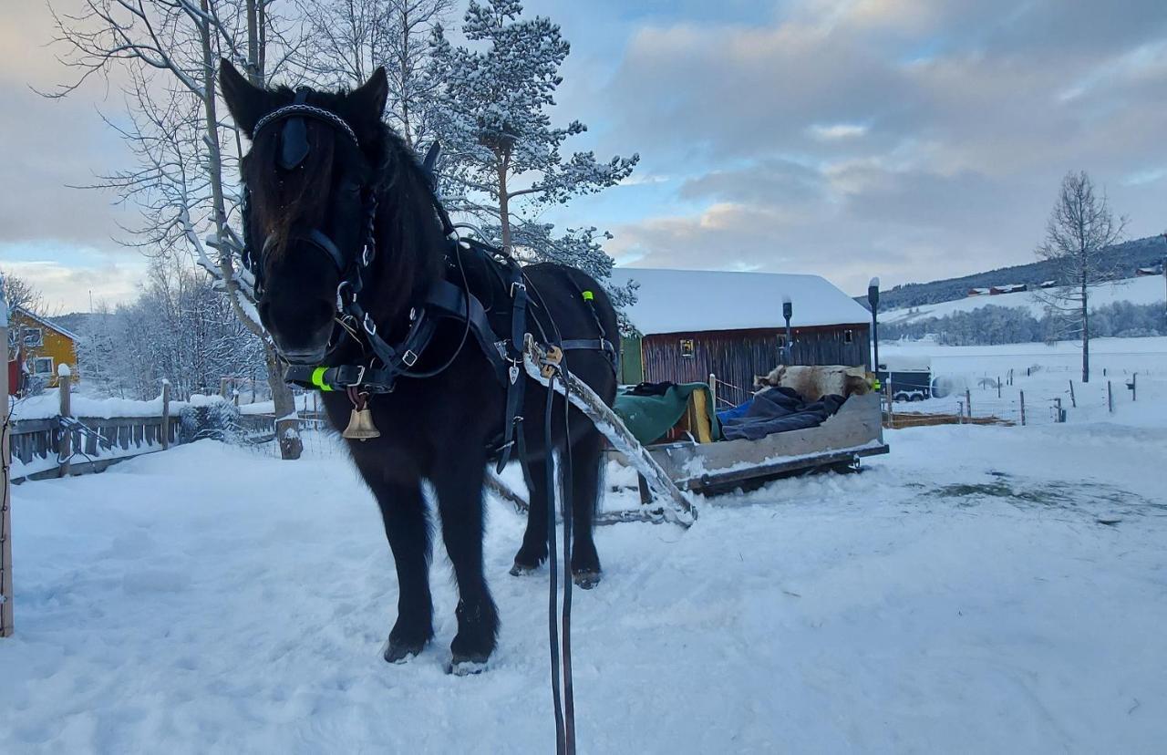 Fantgrenda Overnatting Os (Hedmark) Exterior foto