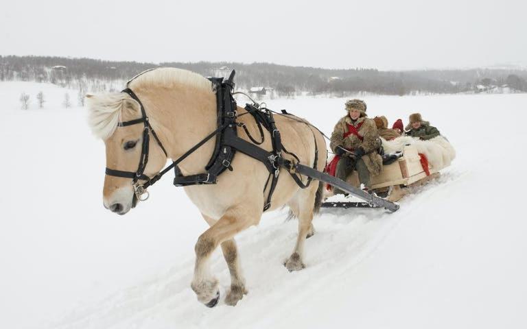 Fantgrenda Overnatting Os (Hedmark) Exterior foto